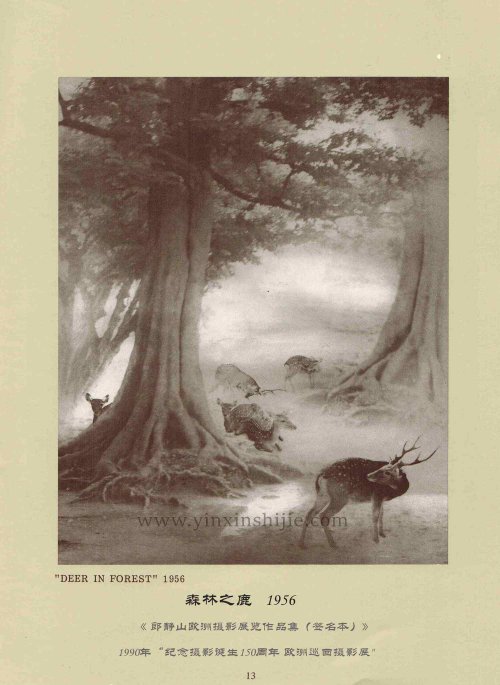 森(sēn)林(lín)之鹿,1956——郎靜(jìng)山(shān)歐洲攝影(yǐng)展覽作(zuò)品集（簽名本）