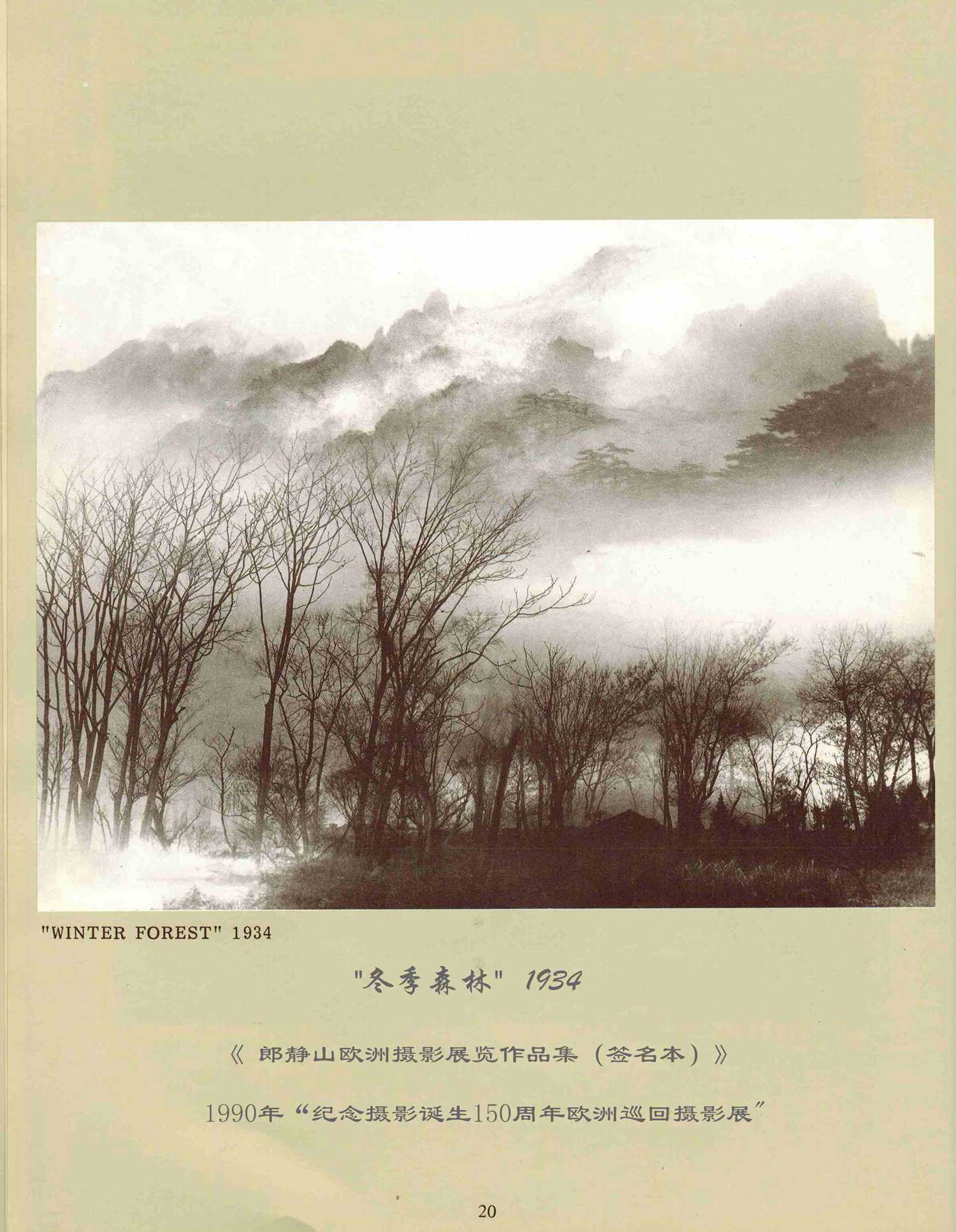 冬季森(sēn)林(lín),1934——郎靜(jìng)山(shān)歐洲攝影(yǐng)展覽作(zuò)品集（簽名本）