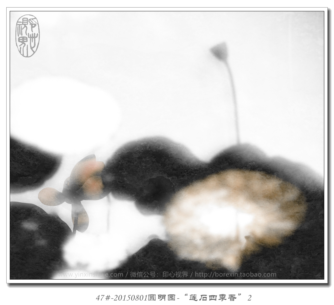 47#-20150801圓明(míng)園-“蓮石四