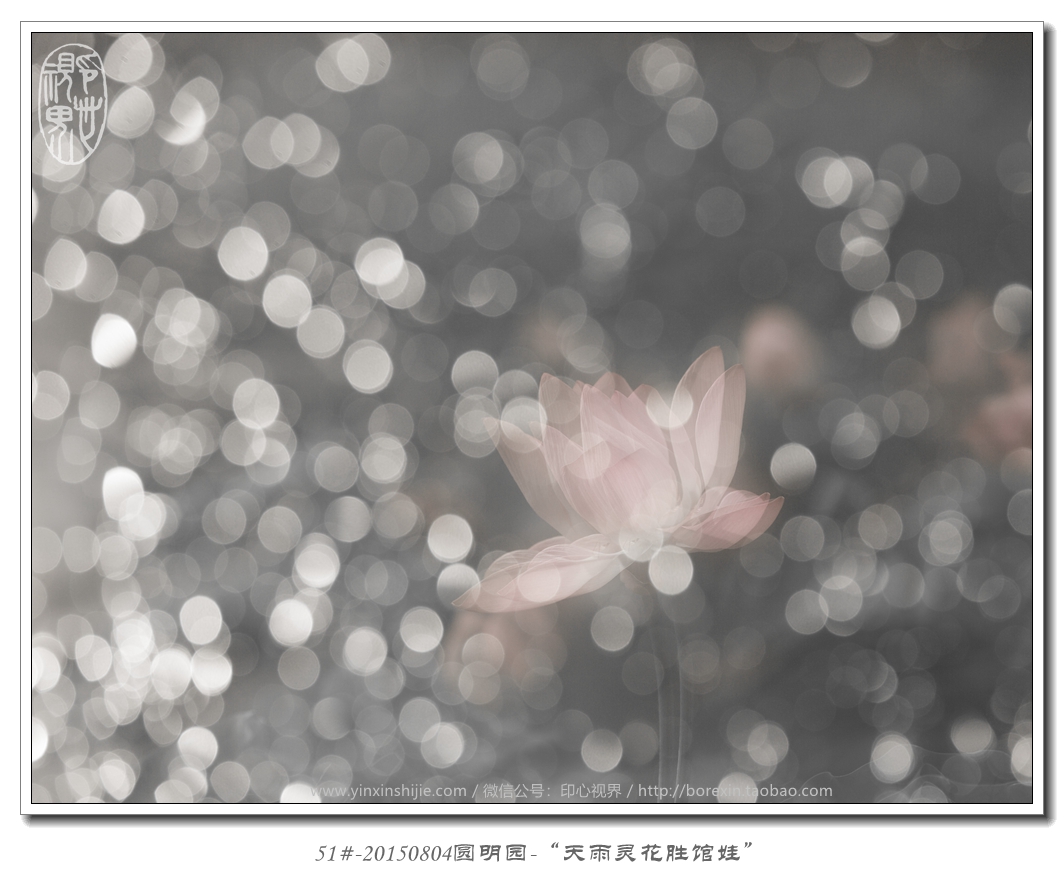 51#-20150804圓明(míng)園-“天雨(yǔ)靈