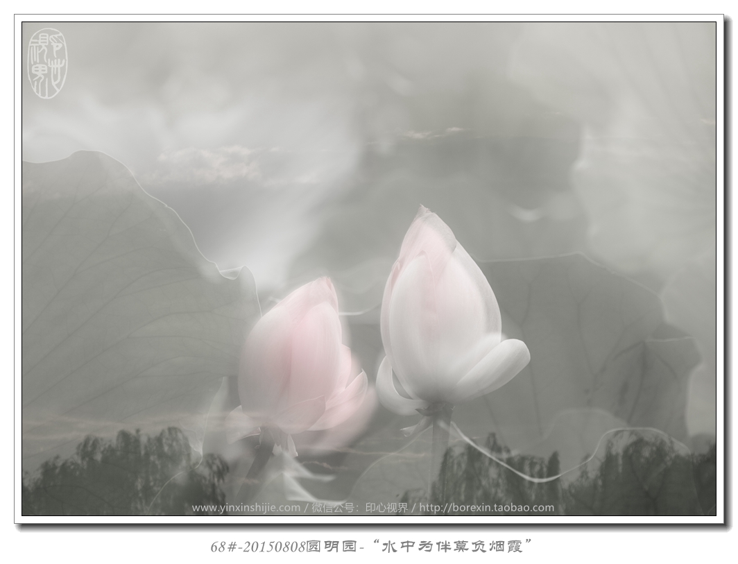 68#-20150808圓明(míng)園-“水(shuǐ)中為(wèi)