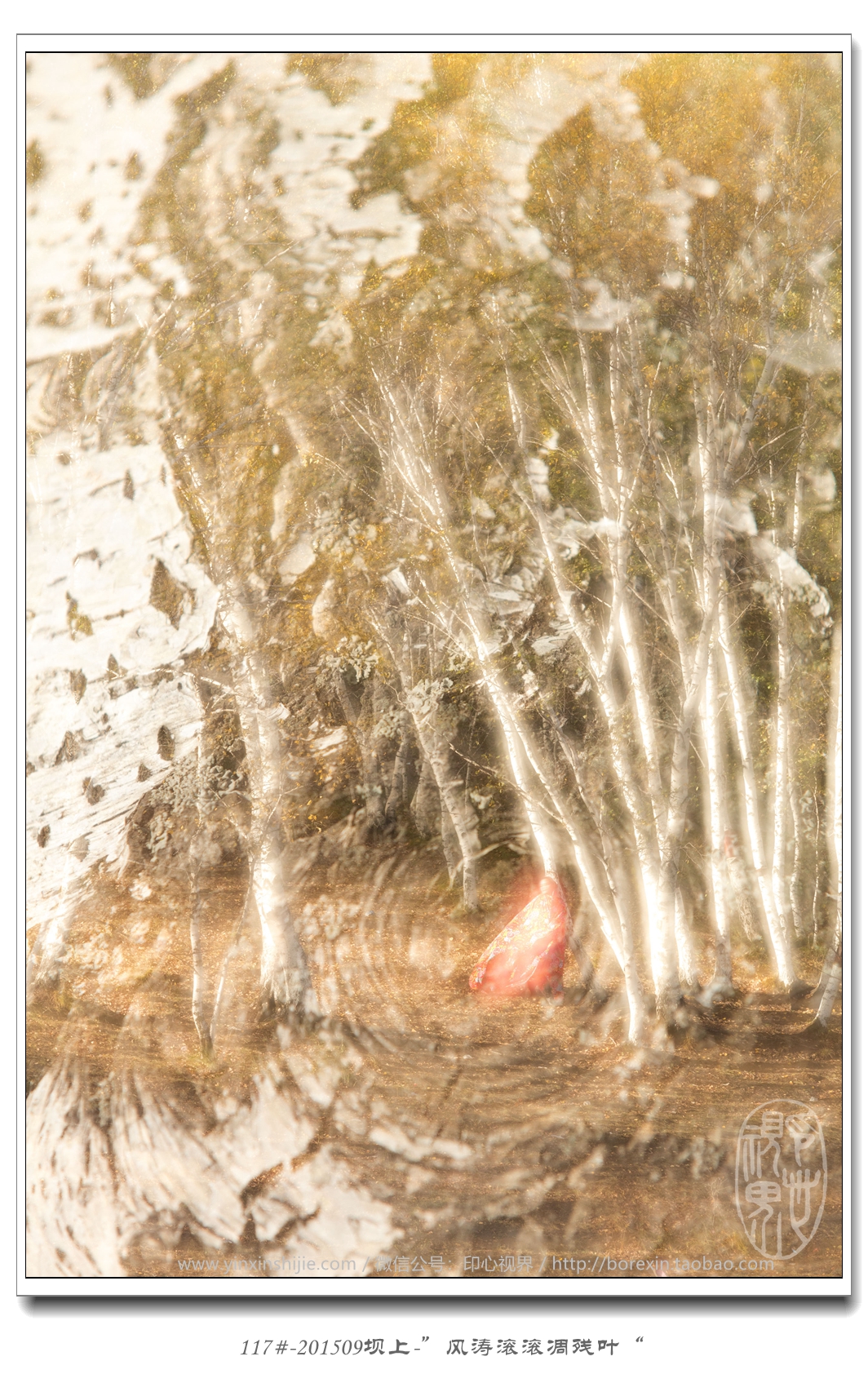 117#-201509壩上(shàng)-“風(fēng)濤滾滾