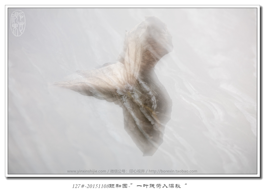 127#-20151108頤和(hé)園-“一(yī)葉殘