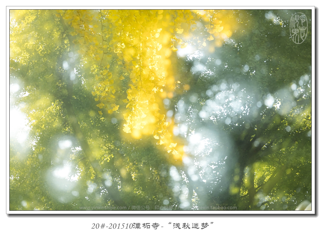 20#-201510潭柘寺-“淺秋迷夢