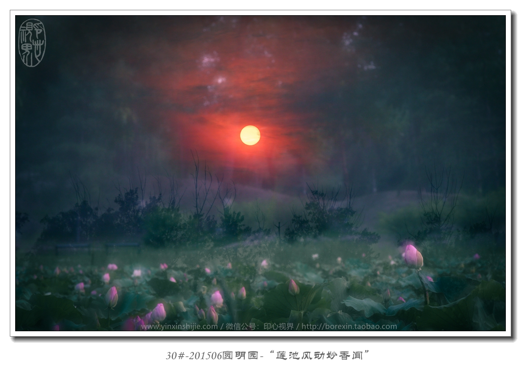 30#-201506圓明(míng)園-“蓮池風(fēng)動