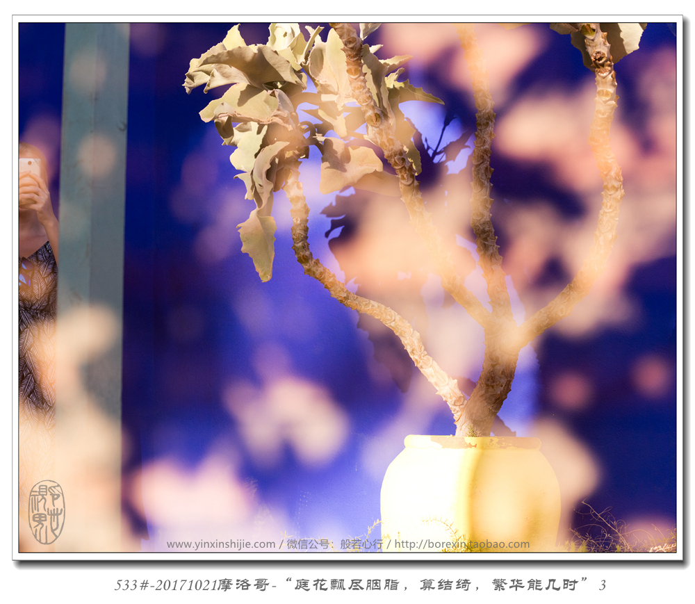 533#-20171021摩洛哥(gē)-“庭花(huā)飄盡胭脂，算(suàn)結绮，繁華能(néng)幾時(shí)”3