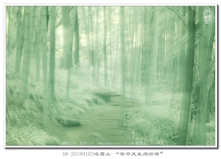 4#-20180103峨眉山(shān)-“翠竹風(fēng)生(shēng)聞妙谛”