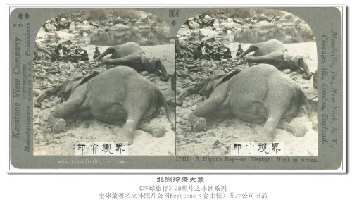 1900年(nián)前後殖民(mín)地(dì)時(shí)期的(de)非洲讓人(rén)深思!